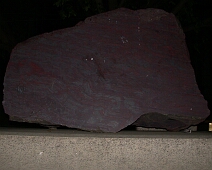 DSCN0211